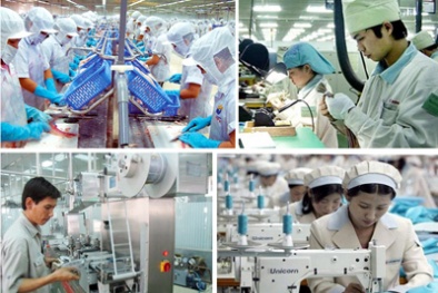 Triển khai dự án năng suất, chất lượng đi vào thực chất